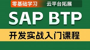 SAP BTP应用开发实战入门 高薪开发者必学