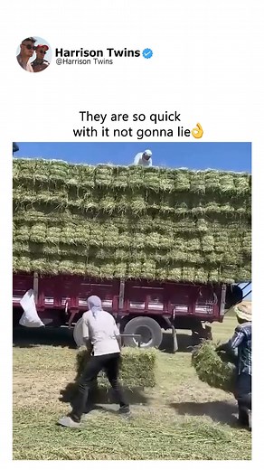Farmers loading hay on truck | Harrison Twins
