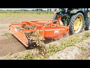 POTATO DIGGER 2 ROWS IMAC PD (TRANSVERSE WEB + 2 F. ROLLERS + 4 DISKS) - SCAVAPATATE 2 FILE IMAC PD