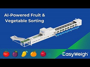 Easyweigh AI-Powered Fruit & Vegetable Sorting Machine | Smart Fruit Processing & Automation