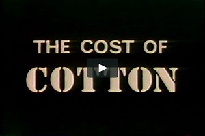 The Cost of Cotton (el costo del algodón)