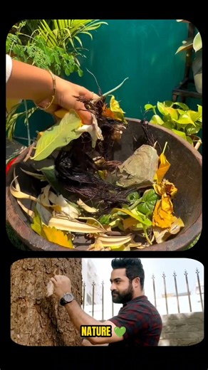 🤩 Compostable Ecolastic bags | Biodegradable Bags
