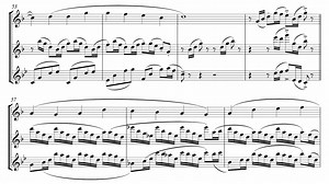 🎵🐦🎵 Here is my composition, "Birds", Trio for Piccolo, Flute, and Alto Flute! 🎵🐦🎵 Piccolo, Flute and Alto Flute performed by Rama Kumaran 🎶Hope you enjoy it!🥹🎶 Sheet Music is available at HermanBeeftink.com! | Herman Beeftink
