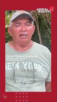 The Army's tourism expansion: the case of the Sian Ka'an Biosphere Reserve