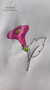 dhutura ful drawing #Trumpet #flower #drawing #technique #rongdhonuartanddrawing | Rongdhonu Art and Drawing