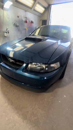 Paint correction #custompaint #allkolorz #richmond #cars #carpainting #mustang