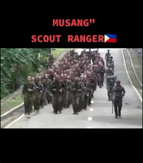 Musang Training Techniques for Scout Rangers