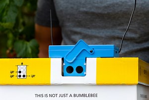Wireless Beehome | Bumblebee Pollination