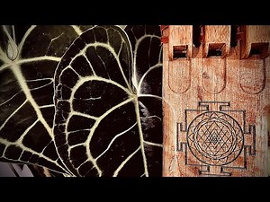 Triple Flute Meditation - Mountain Dream - Relaxing Native American Style Drone Flute Music - 432Hz