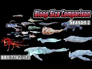 Bloop Size Comparison : Season 2 (블룹 크기비교 시즌2)