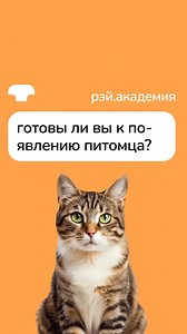 🐾 Как понять, что вы готовы завести питомца? Размышления о том, брать или не брать животное — нормальный и естественный процесс. На принятие решения влияет множество факторов, которые стоит учесть прежде, чем вы возьмёте в дом питомца. Евгения Баландина, специалист по благополучию кошек, на фестивале «Тыквы и Коты» 2025 рассказала о ключевых этапах выбора питомца и подготовки к его появлению в доме. Смотрите полную запись лекции на нашем YouTube-канале и делитесь с друзьями! Проект поддержан Бл