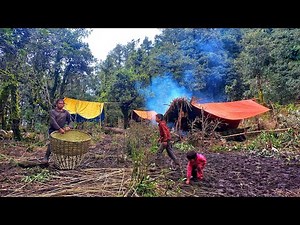 Nature and Simplicity: Life in Karnali’s Organic Mountain Village | IamSuman