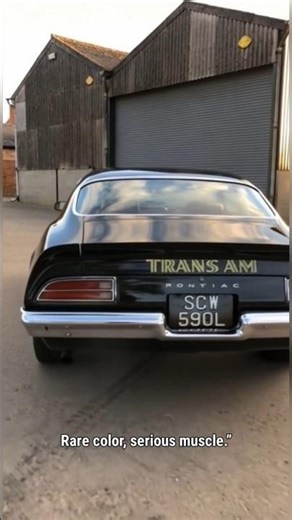 Brewster Green Pontiac Trans Am — Rare Muscle Legend