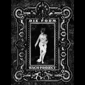 Die Form – Bach Project  (2008, File)