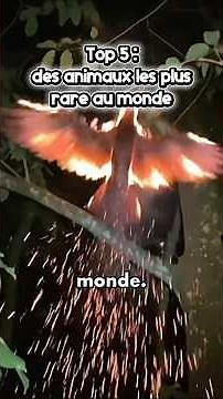 Top 5 : des animaux les plus rare au monde 😱#animaux #top5 #contenueducatif