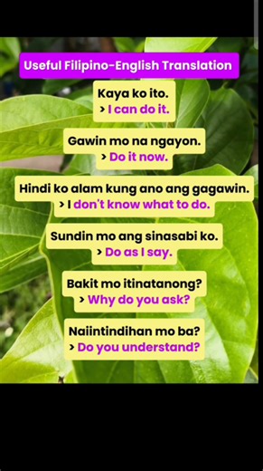 8K views · 196 reactions | Learn essential Filipino phrases with English translations! Expand your language skills and connect with the culture. #FilipinoLanguage #LanguageLearning #Translation | Janes Lessons | Facebook