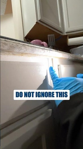 Rodent Droppings Under the Sink What It Means and Where Theyre Coming From