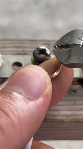 Beginner's Guide to Connecting DuaPower & Water Control Switches