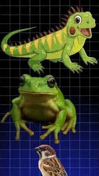 Agar Cockroach Gayab Ho Gaye To Kya Hoga? #facts #Ecosystem