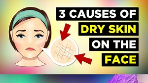 1.2K views · 83 reactions | In this video we explore the 3 main...