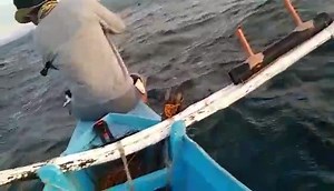 2.1K views · 82 reactions | KTS client sir Glenn Evangelista labded this 12kg dogtooth tuna using the Expert Graphite Hammerhead HAC601 600 gram jig max slow fall rod. #ExpertGraphite #ExpertGraphitePhilippines | Kenny's Tackle Shop | Facebook