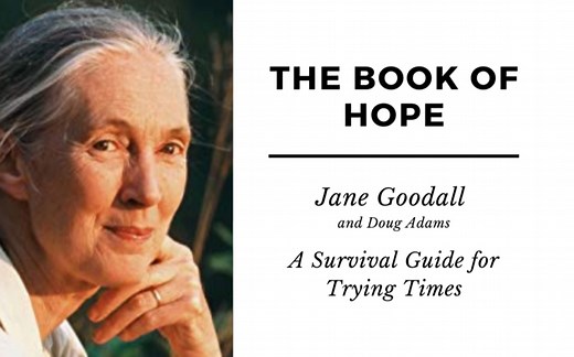 关于希望的书——THE BOOK OF HOPE