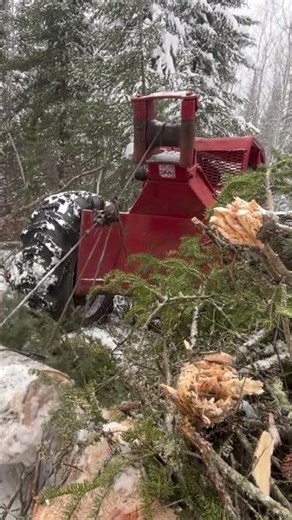1960s log skidder #timberjack #detroitdiesel #skidder #shortvideo