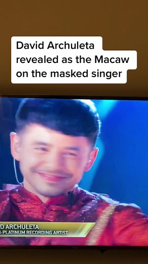 David Archuleta Revealed as the Macaw on The Masked Singer