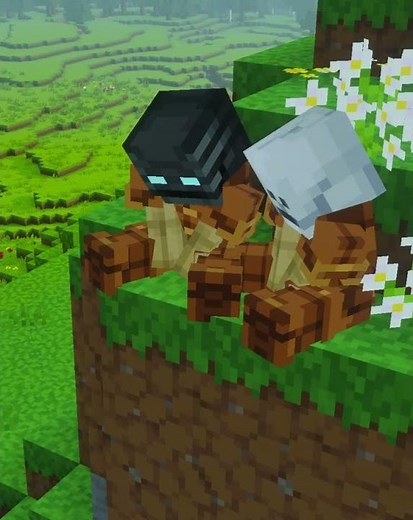 Minecraft Skeleton Slideshow #minecraft