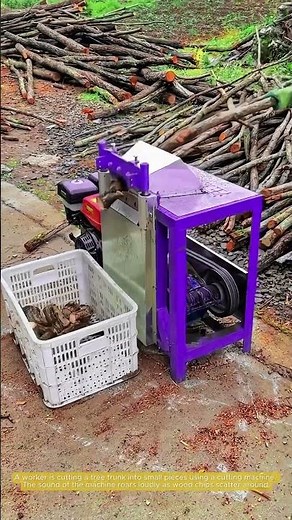 Smart Replanting: Homemade Machine for Cutting Tree Trunk