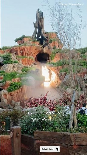 Splash Mountain Adventure at Tokyo Disneyland 🌊⛰️ | Magical Ride Experience!