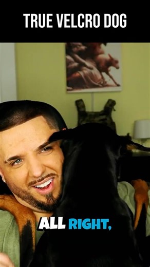 Filming With a Velcro Dog Is Impossible #shorts #dog #bts