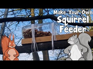 Make Your Own DIY Squirrel Feeder | How To | Make It with Meg