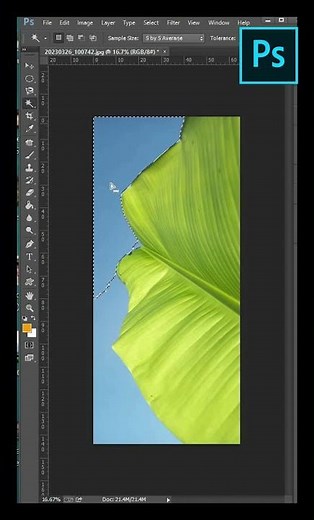 Photoshop Quick Selection and Magic Wand Tool #shorts