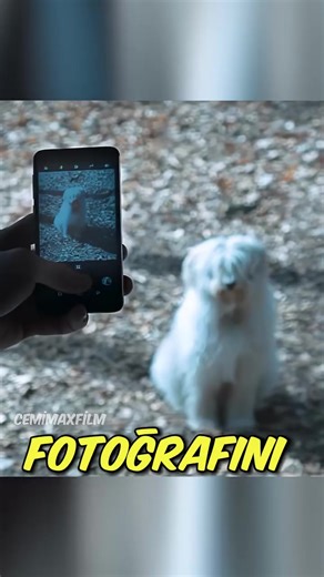 Discover The Virtuoso: A 2021 Cinematic Masterpiece