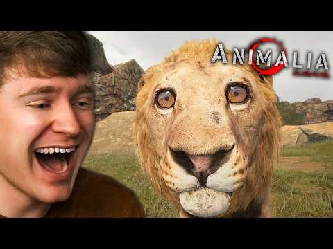SURVIVING as a LION in the SAVANNAH!? (Animalia Survival)