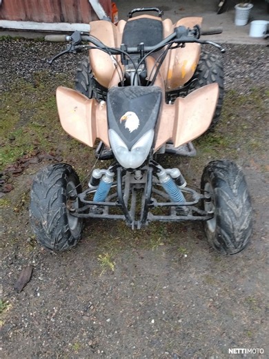 Bashan BS250S-9 250 cm³ 2007 - Kajaani - Mönkijä - Nettimoto