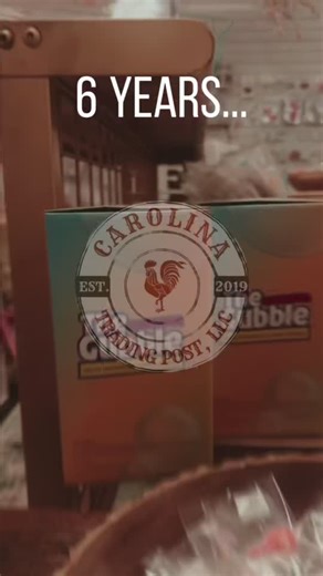 Our small business journey over the last 6 years! ❤️