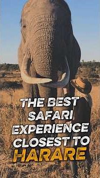 Best Safari Experience closest to HARARE, Zimbabwe