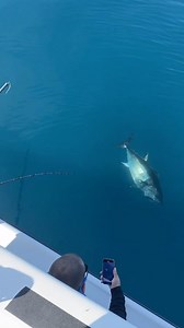 48K views · 783 reactions | ‘It happens 路‍♂️! Wind on leader broke...