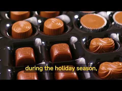 Understanding Cocoa Fundamentals and Price Dynamics