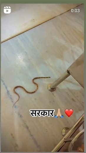 Tejaji Maharaj||tejaji maharaj whatsapp status #status #tejaji #mahadev