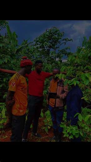 Walter Luzindana (@walter.luzindana)’s videos with My Darling - Chella