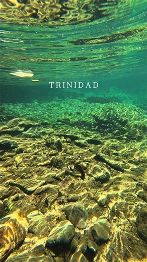 This is your sign to explore Trinidad! What are you waiting for? #Trinidad #Travel #POV #Nature