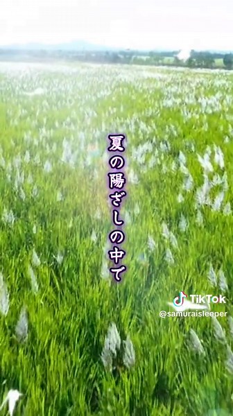 森山良子の『さとうきび畑』を楽しもう