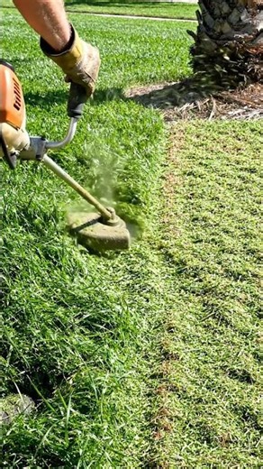 Grasss #grass #cutting #trending