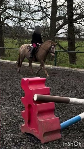 Anybody got jumping position tips 💔| #horse #equestrianjourney #fyp #pony #equestrian