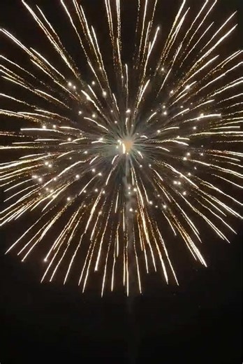 Flashing #feuerwerk #pyro #fireworks #pyro4life #fuegosartificiales