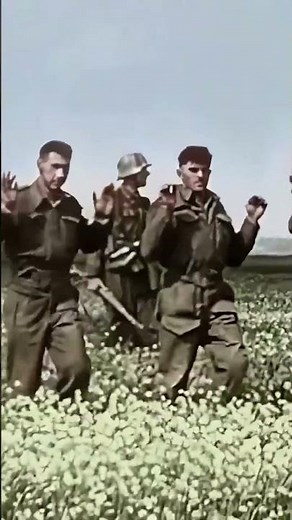 German 12th SS Panzer Division Hitlerjugend of the Waffen-SS near Caen Normandy #ww2 #panzer #tank
