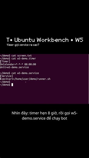 T• Timer gọi service ra sao | Bonus (Ubuntu Workbench) #ubuntu #terminal #code #linux #python